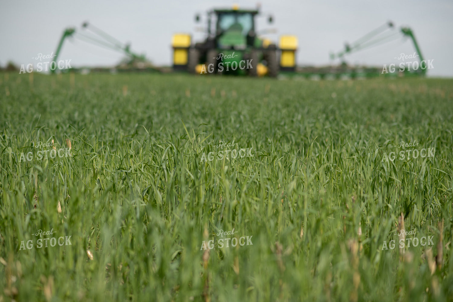 Planter in Field 76116