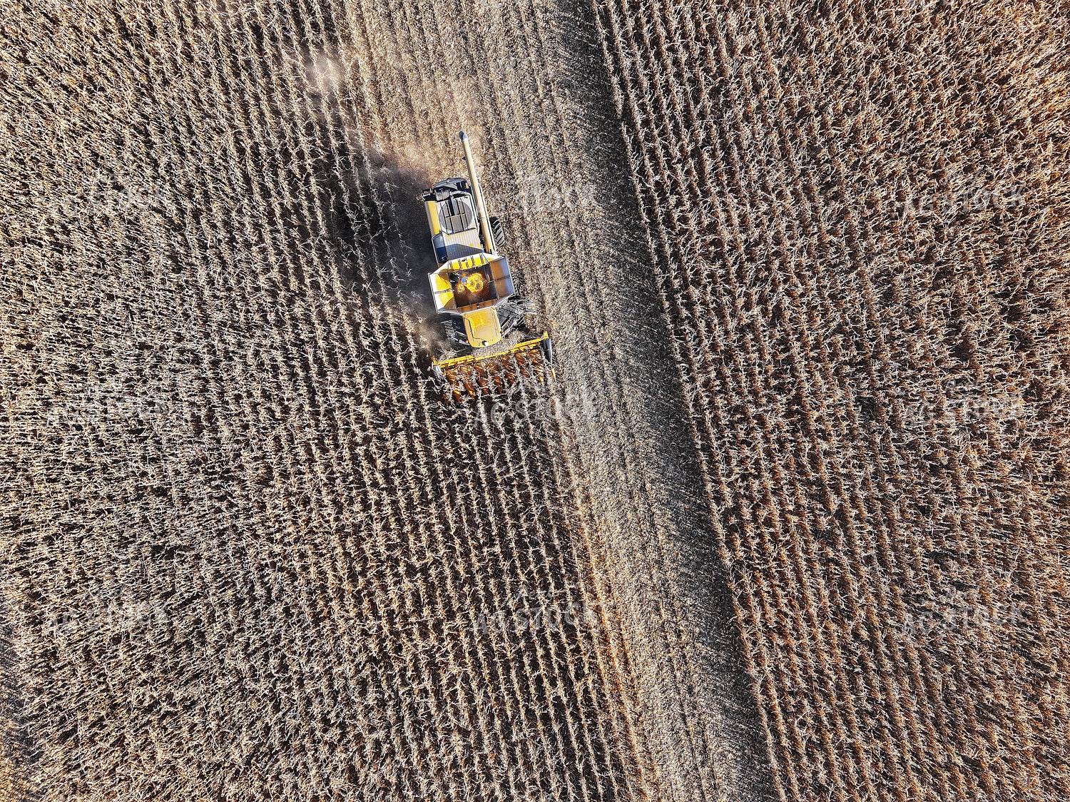 Aerial of Corn Harvest 141082