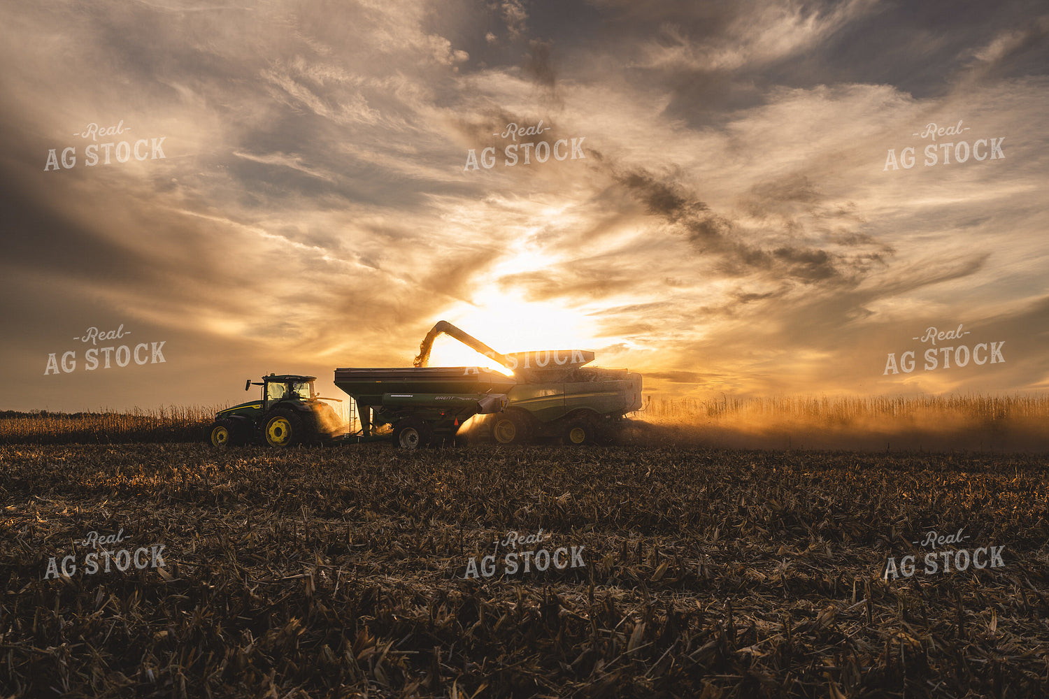 Harvest 196031