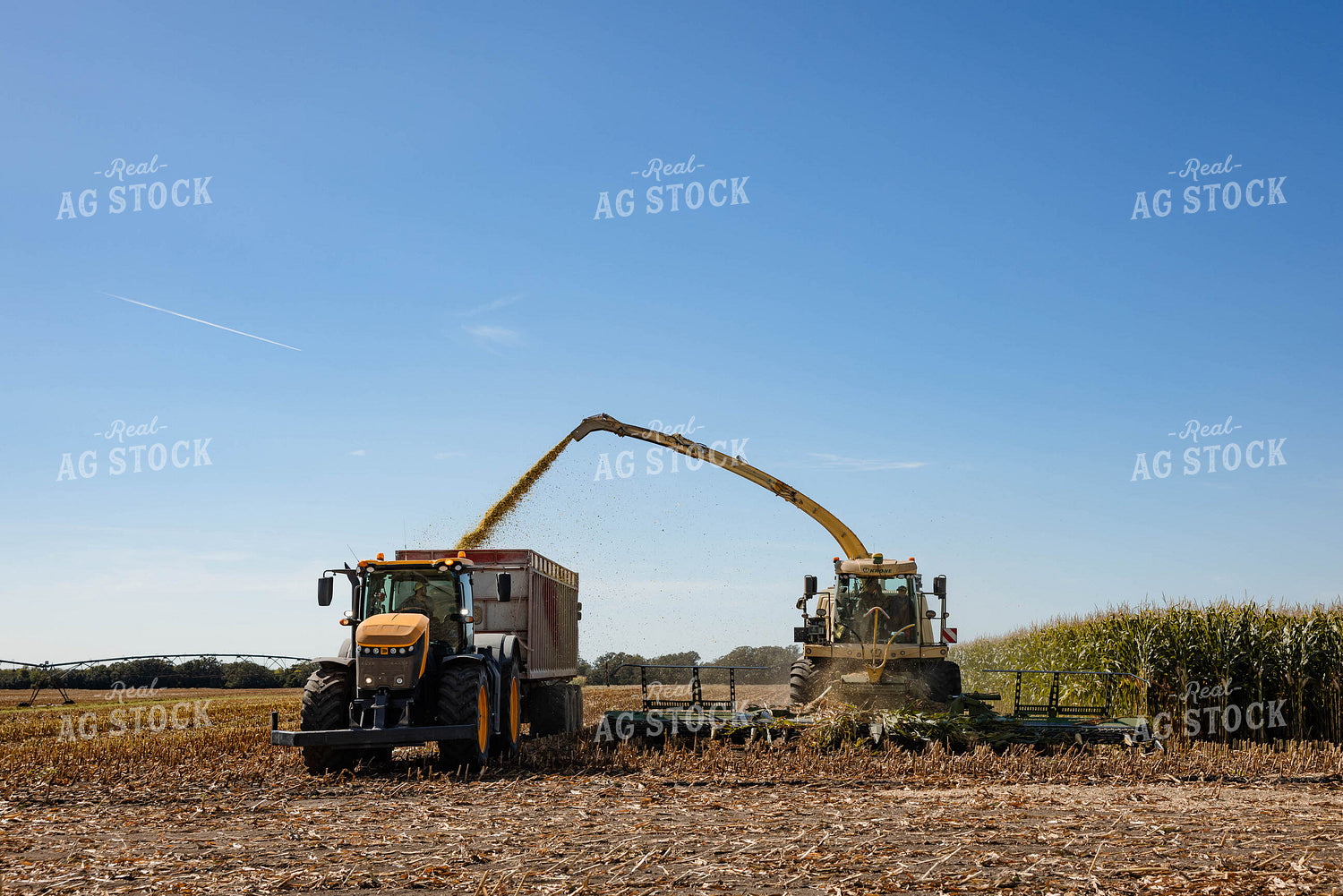 Silage Harvest 152293