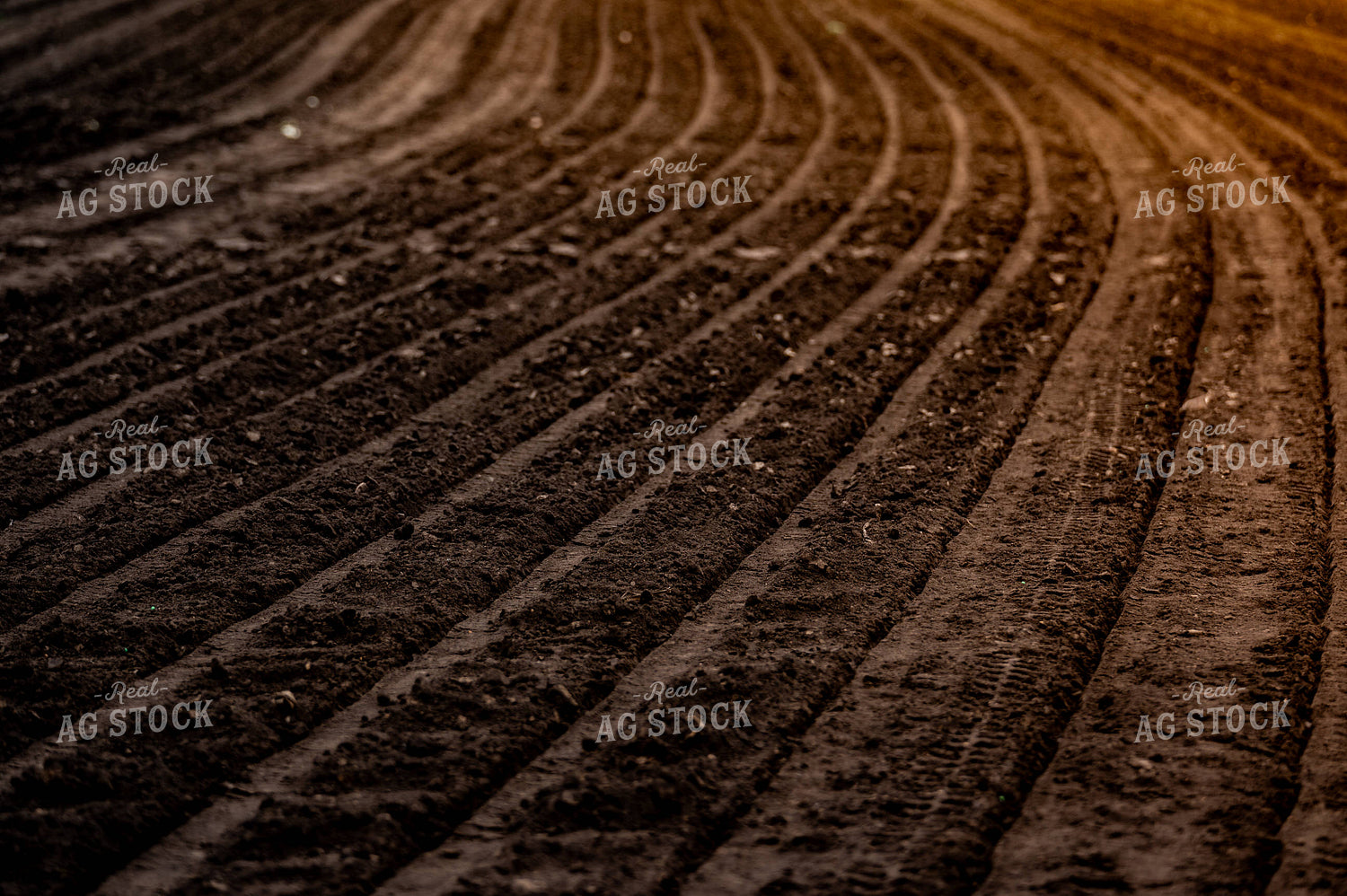 Freshly Planted Soil 185207