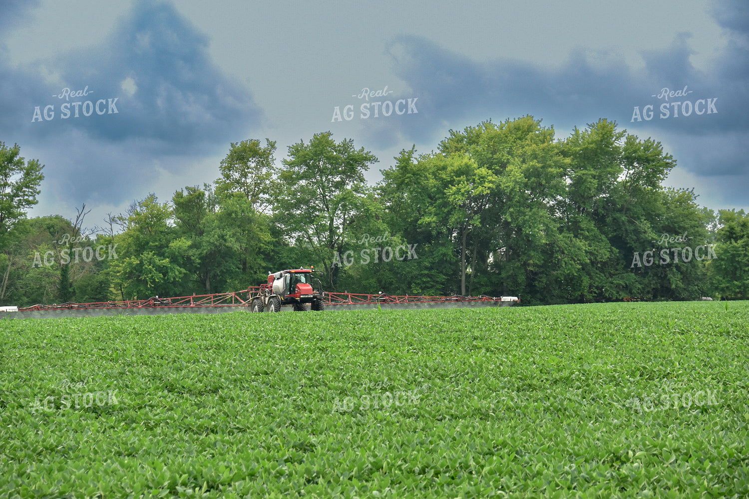 Spraying Soybeans 84117