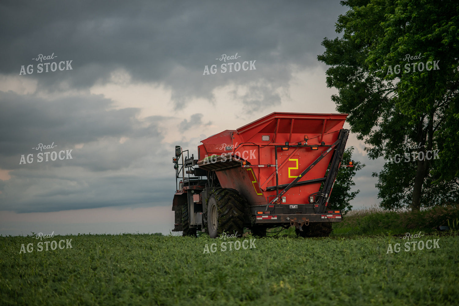 Cart in Pea Field 76211