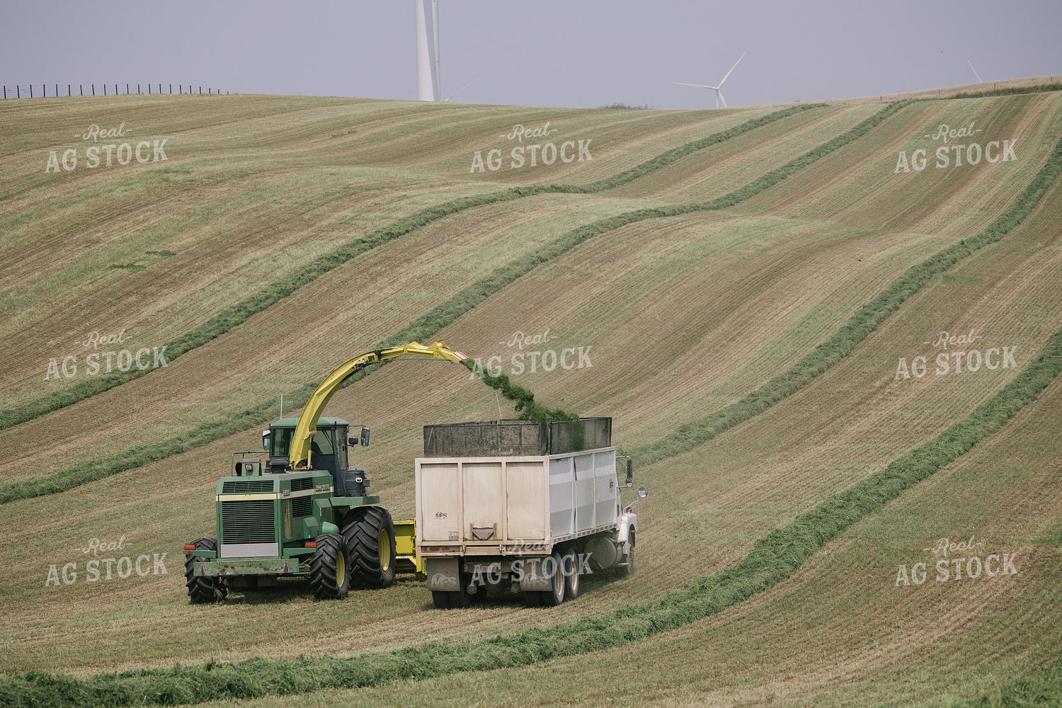 Harvesting Hay Silage 70069