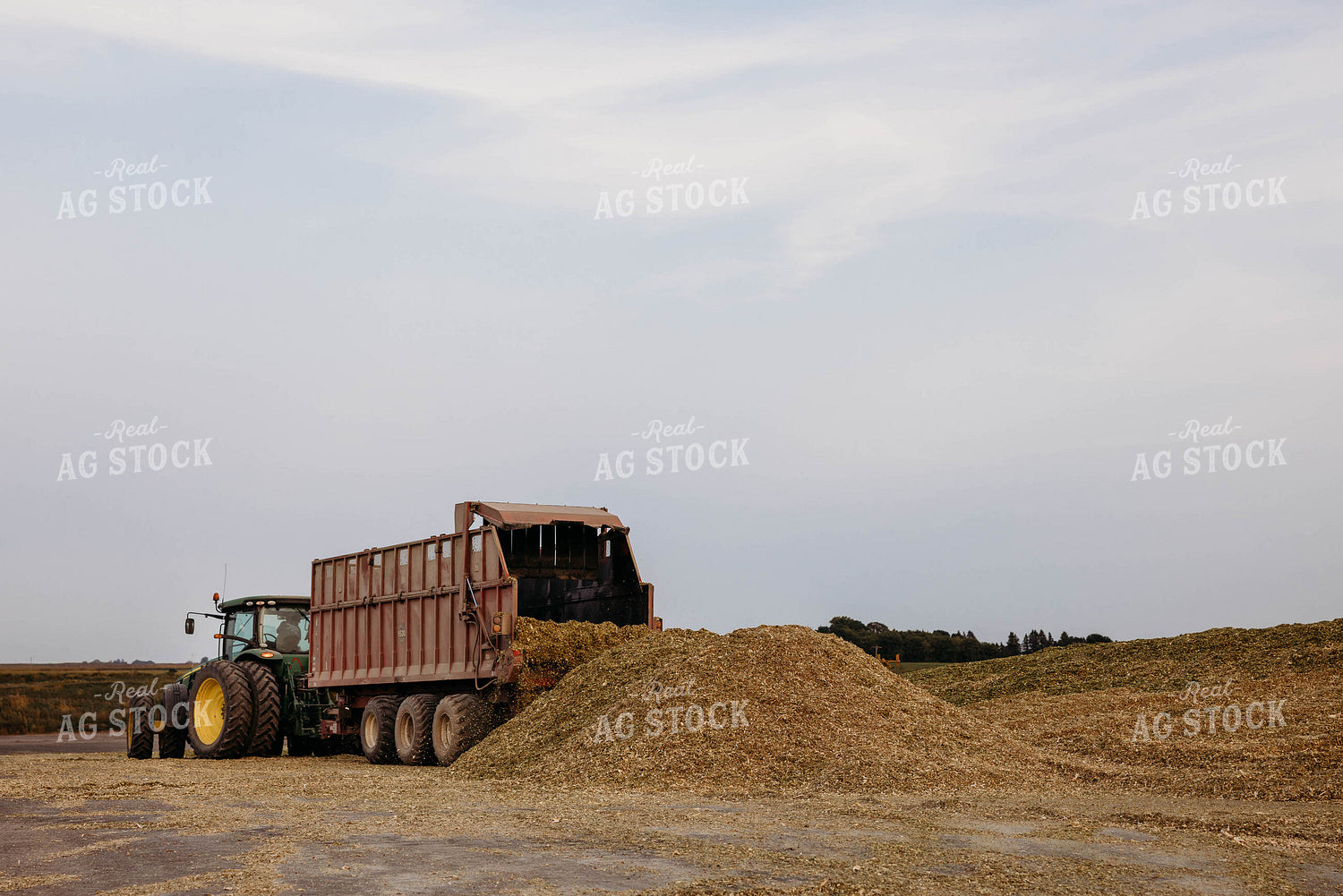 Dumping Silage 152029