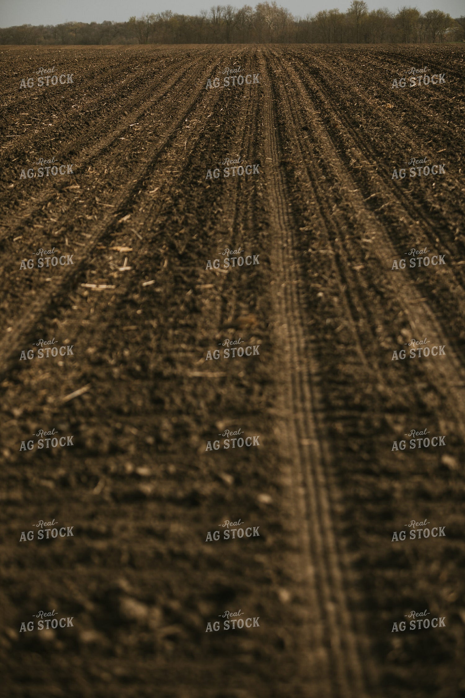 Just Planted Soil in Field 5480