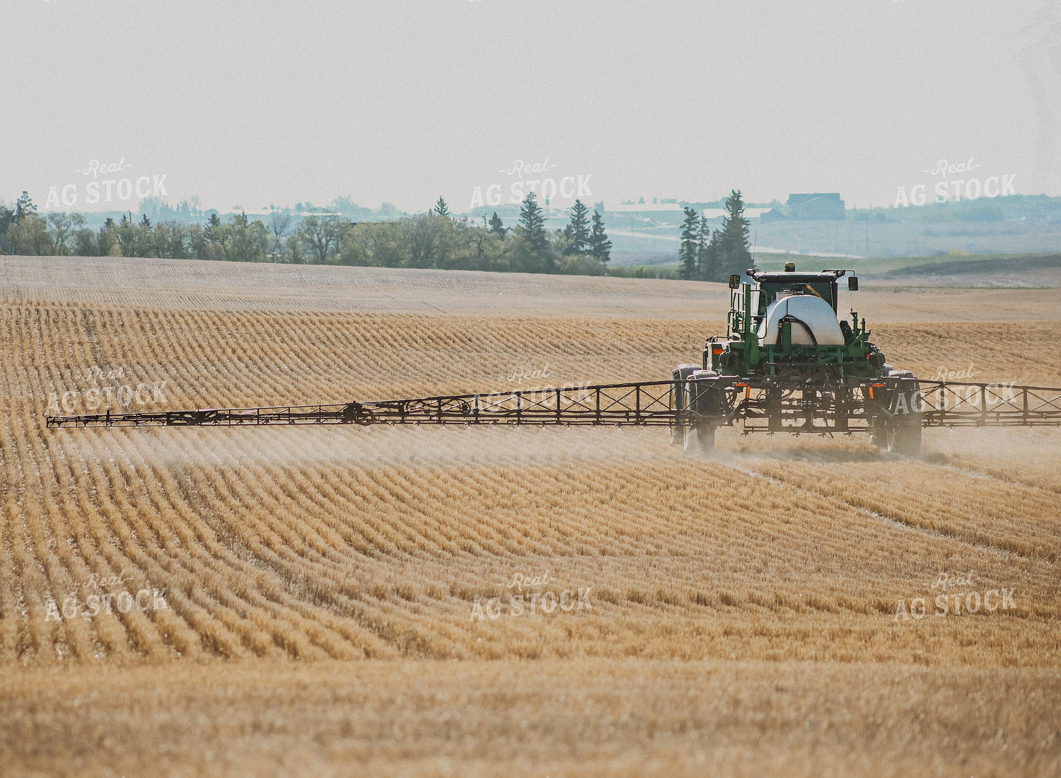 Spraying 187030