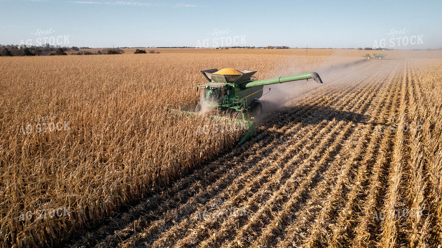 Corn Harvest 114014