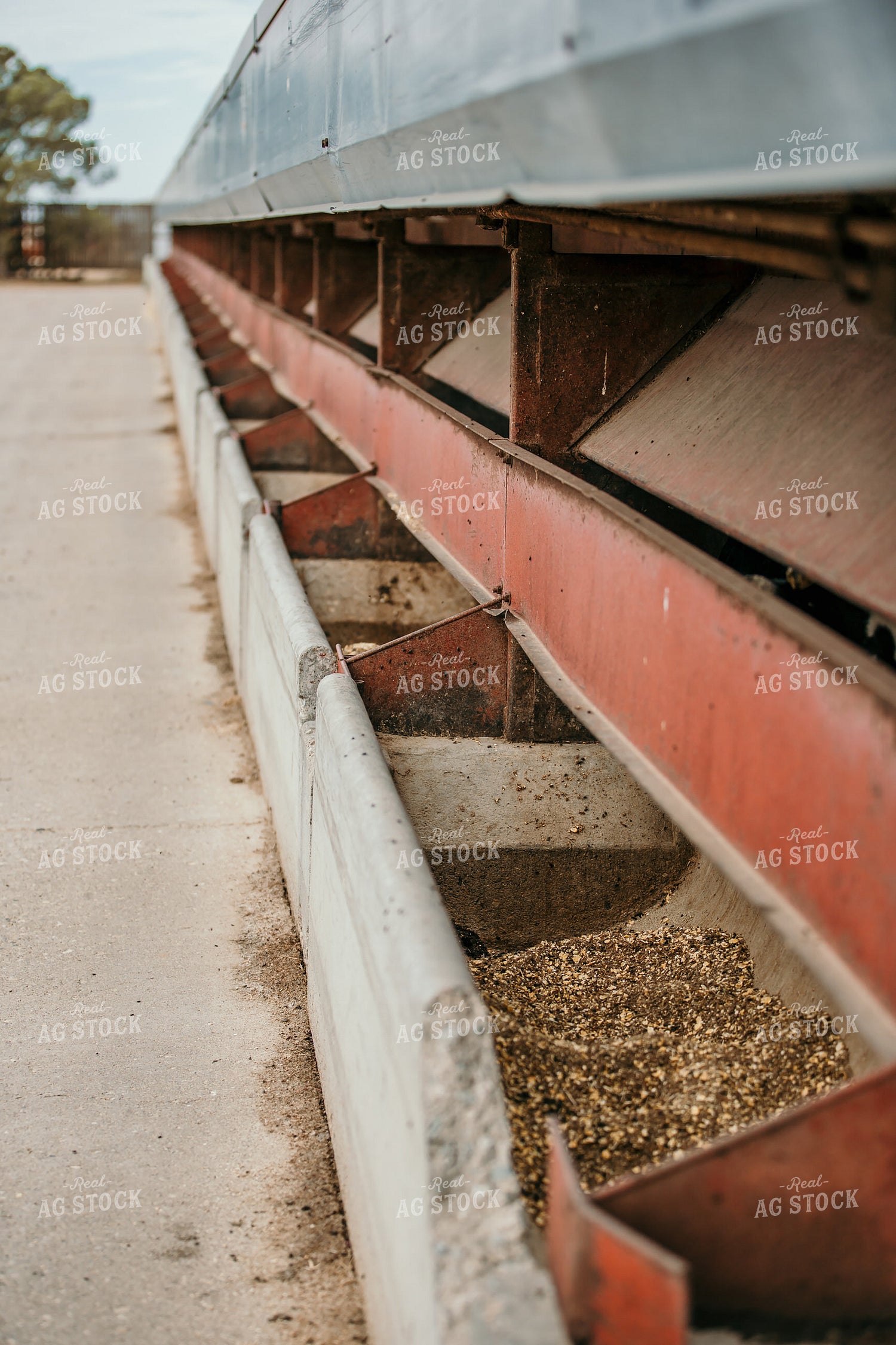 Animal Feed Trough 98029