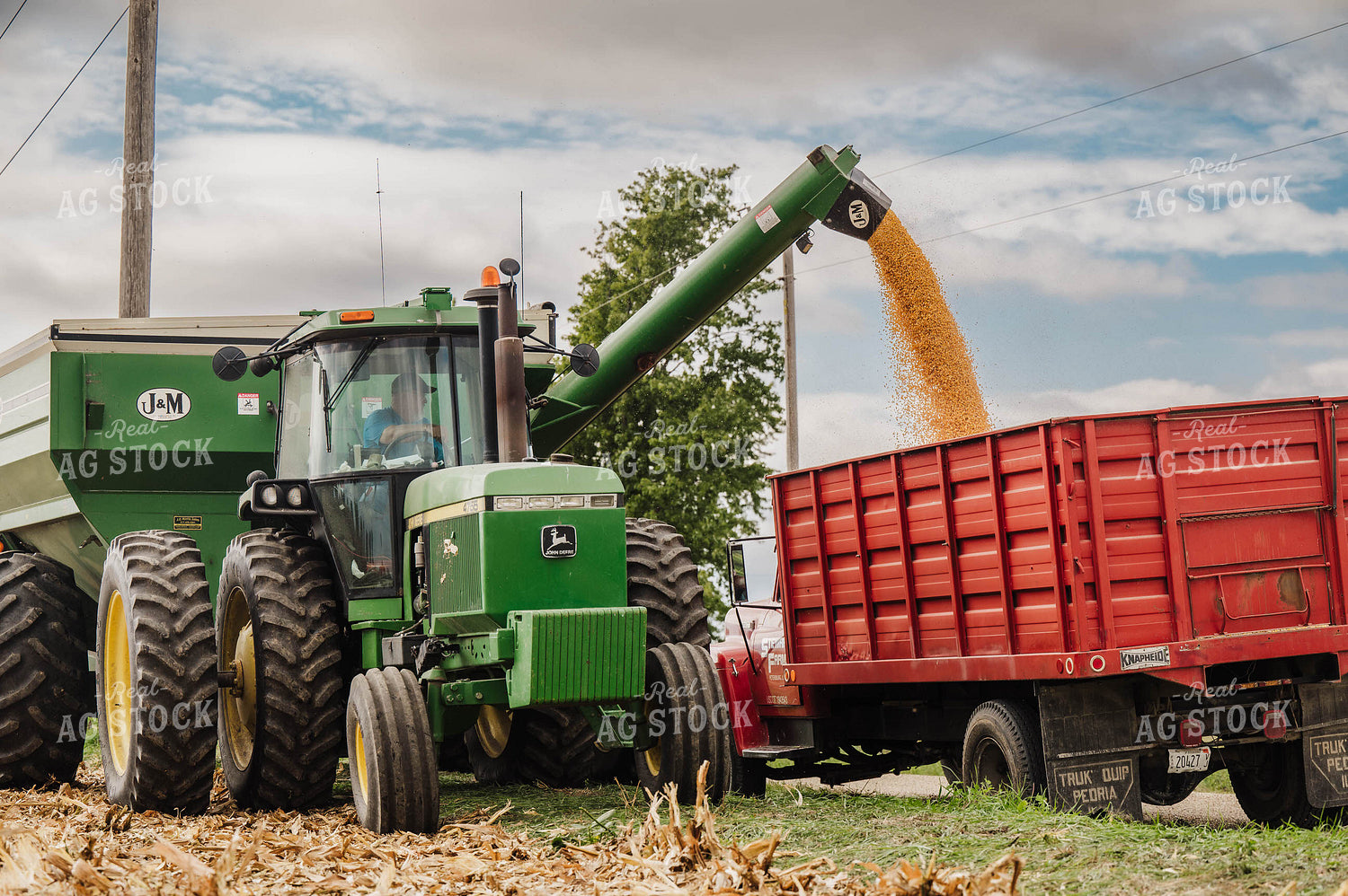 Auger Wagon Unloading Corn into Tandem Truck 115346