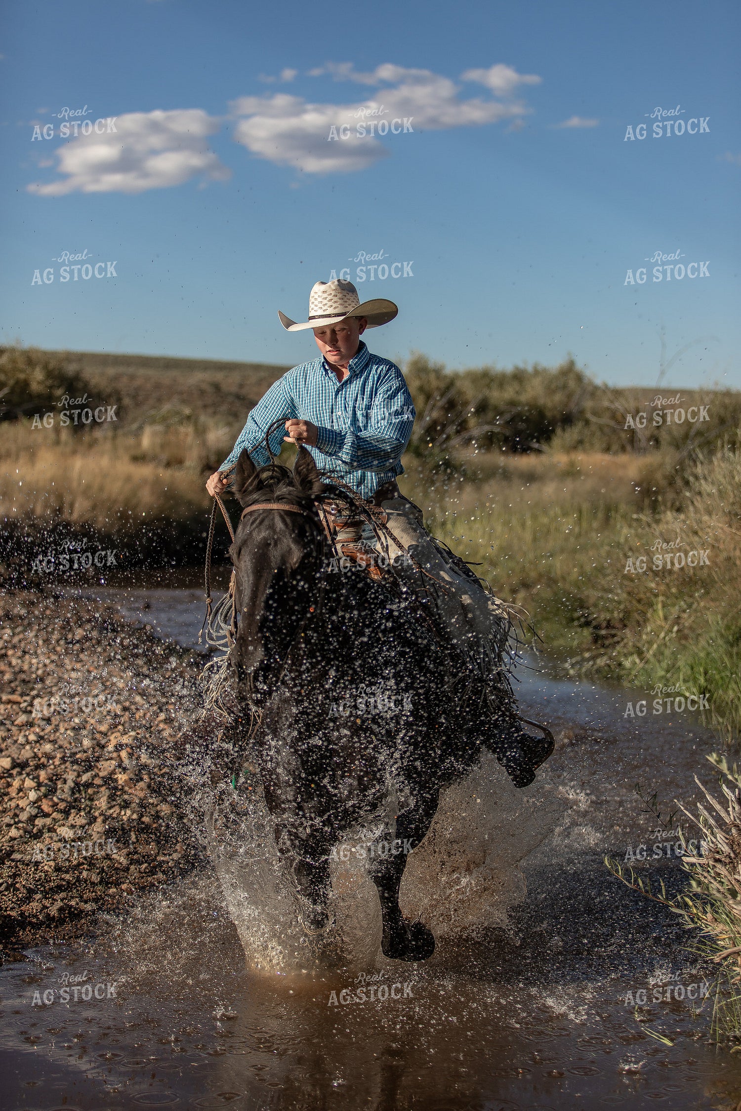 Ranch Kid Riding in Creek 188050