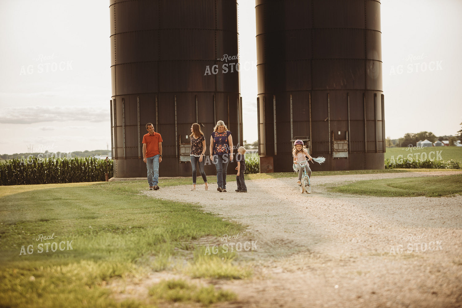 Farm Family Walking Along Corn Field 4470