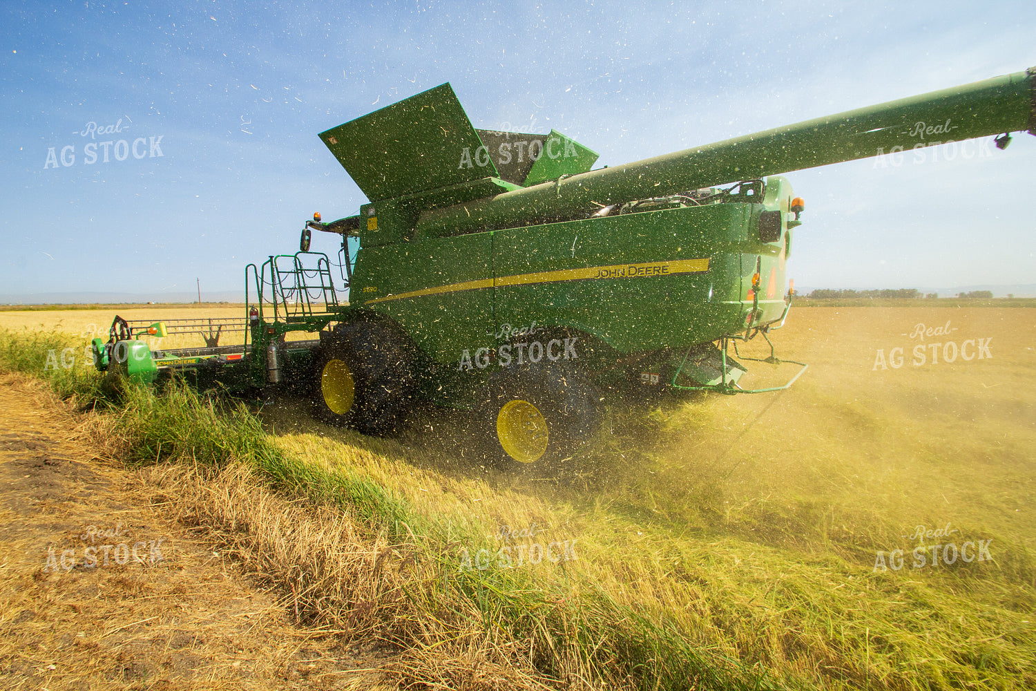 Harvesting Rice 105038