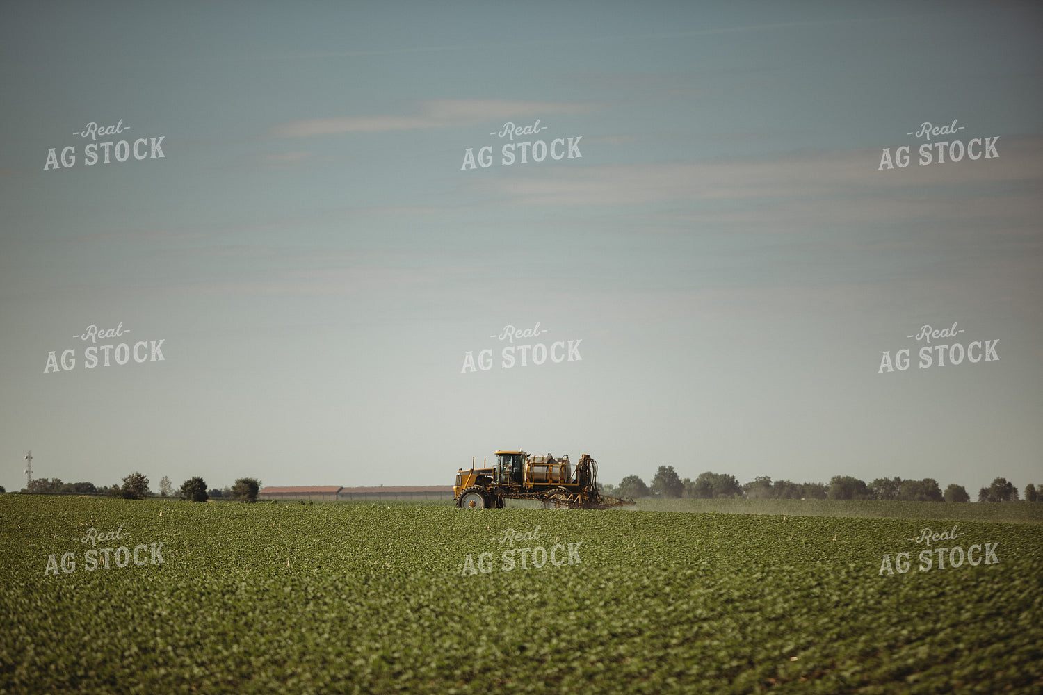 Spraying Soybeans 4371