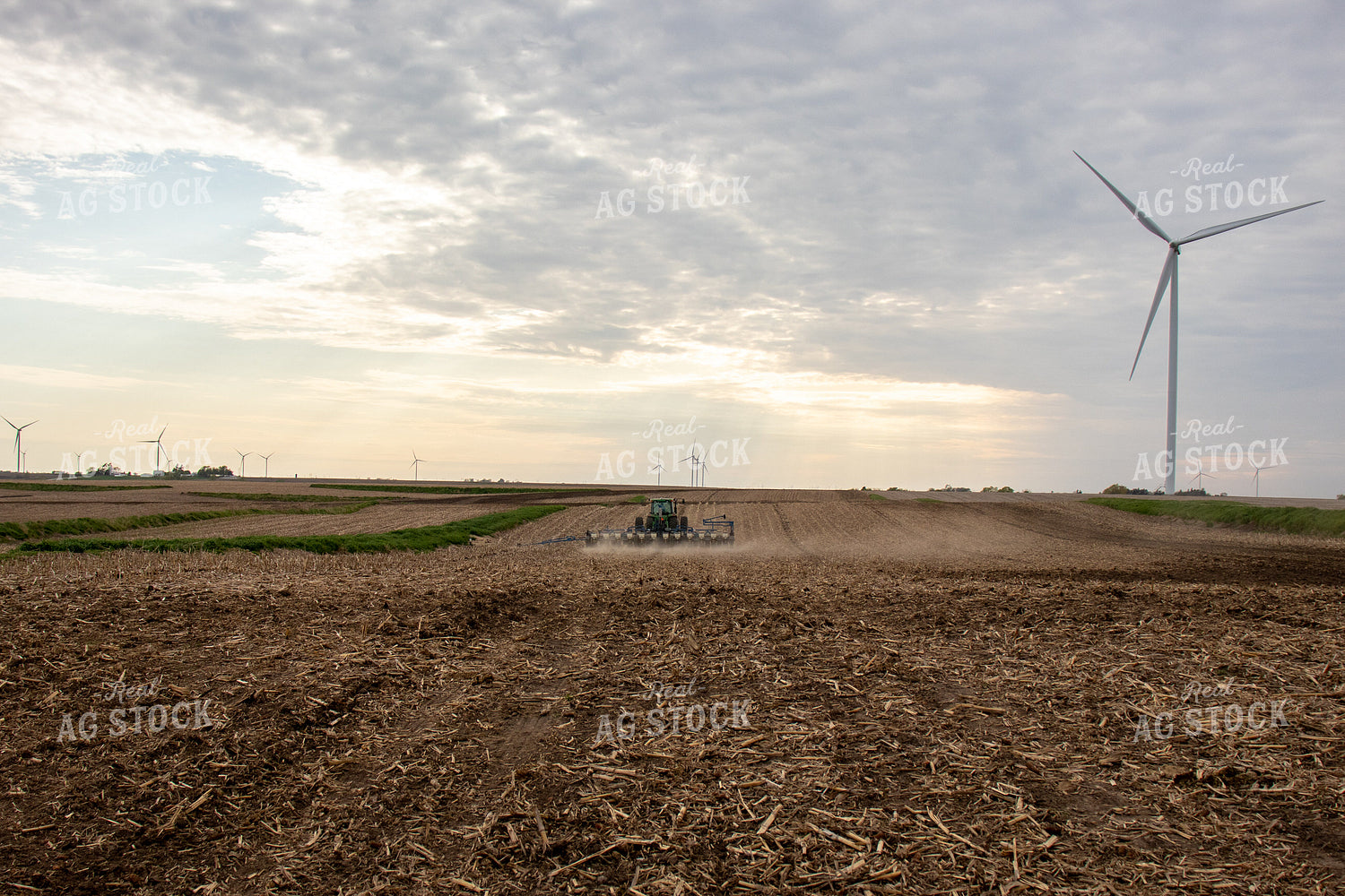 Planting 67106