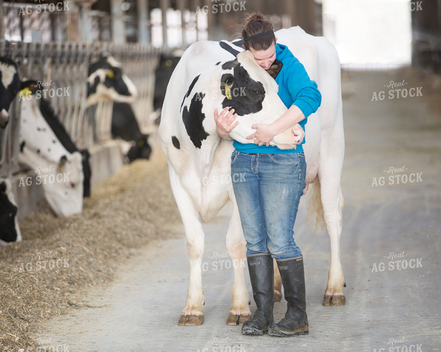 Farmer Hugging Holstein Cow 55129