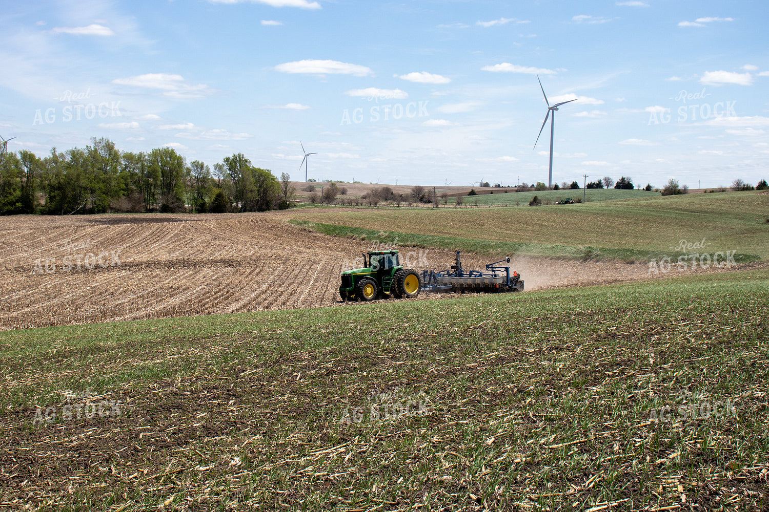 Early Wheat and Planting 67068