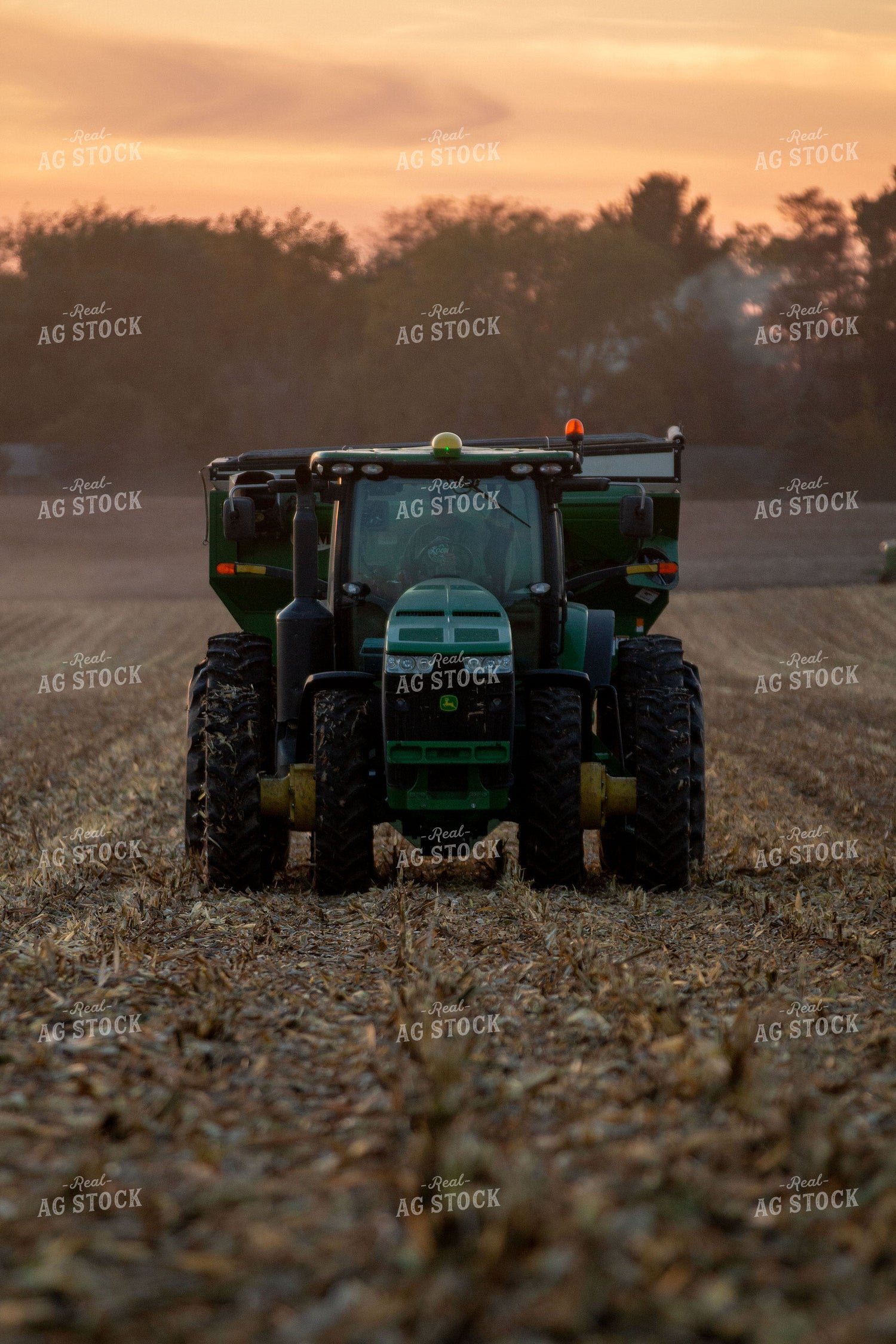 Corn Harvest 157030