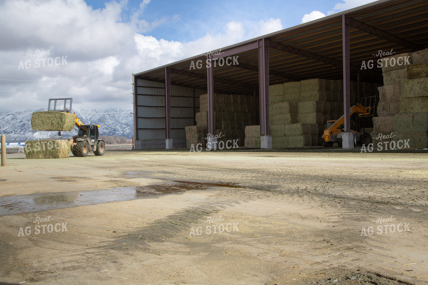 Moving Hay Bales 130019