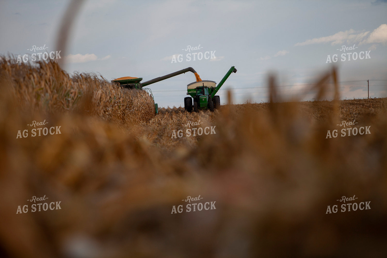 Harvest 1768