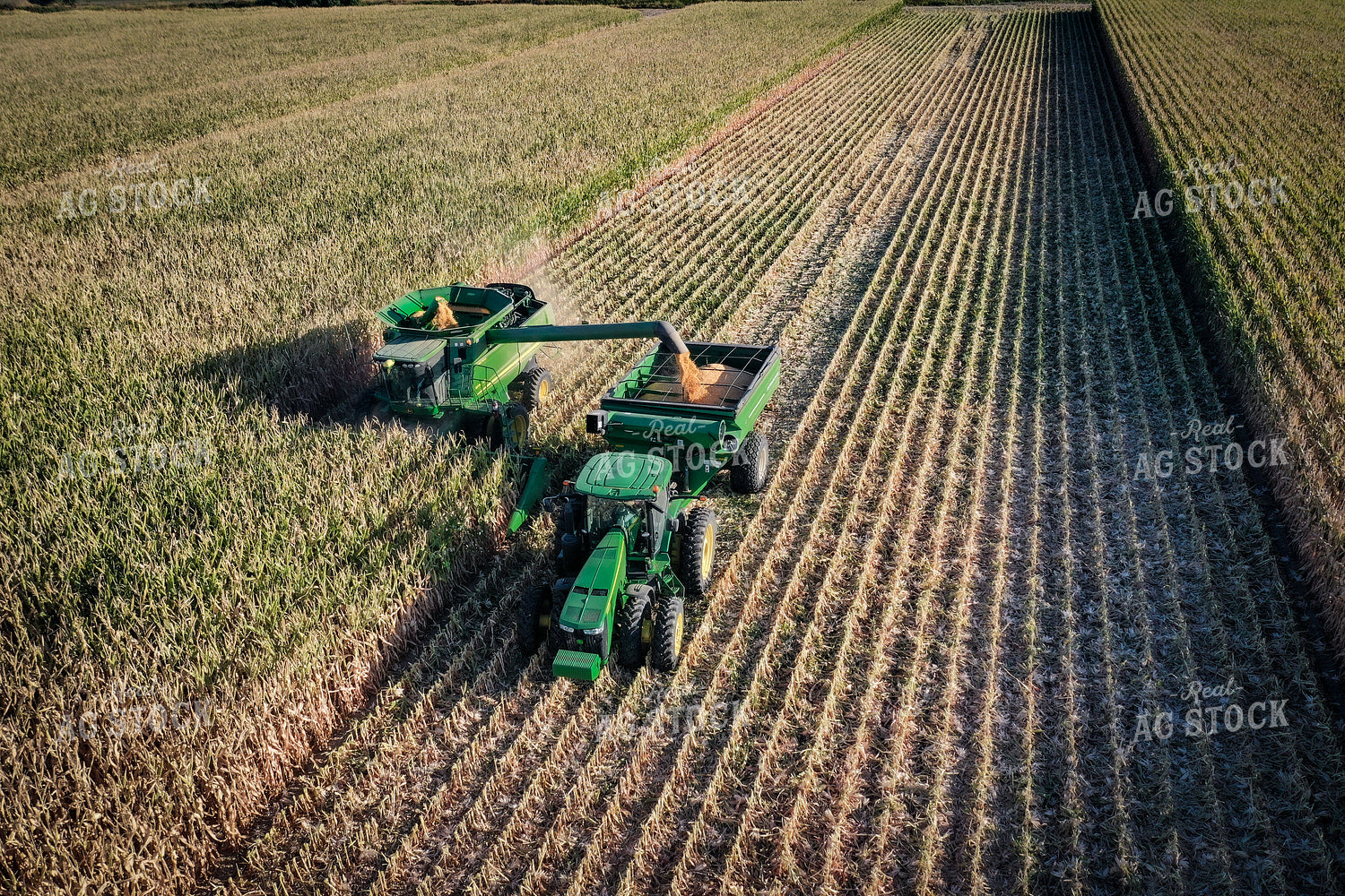 High Moisture Shell Corn Harvest Drone 56175