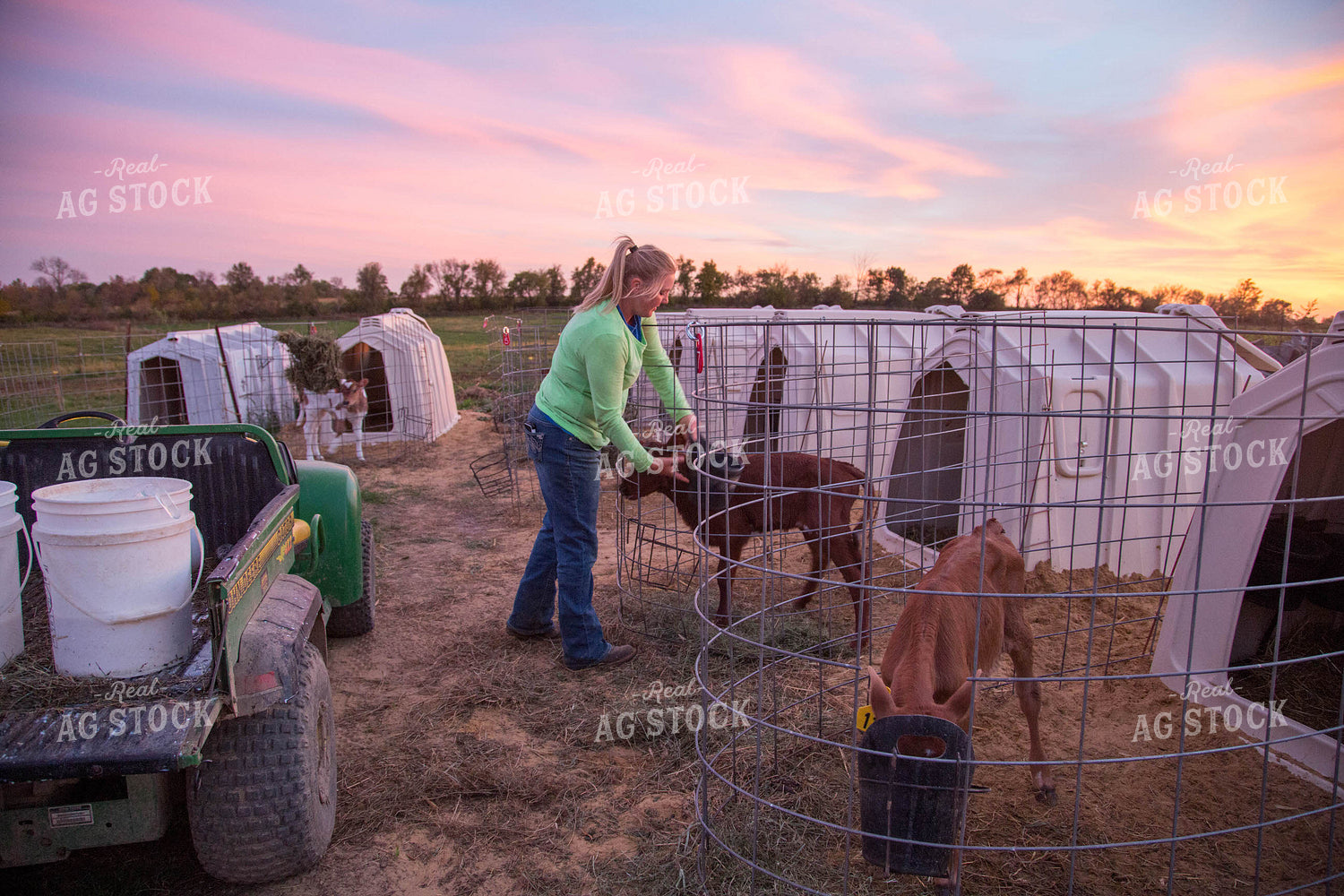 Female Dairy Farmer 161035