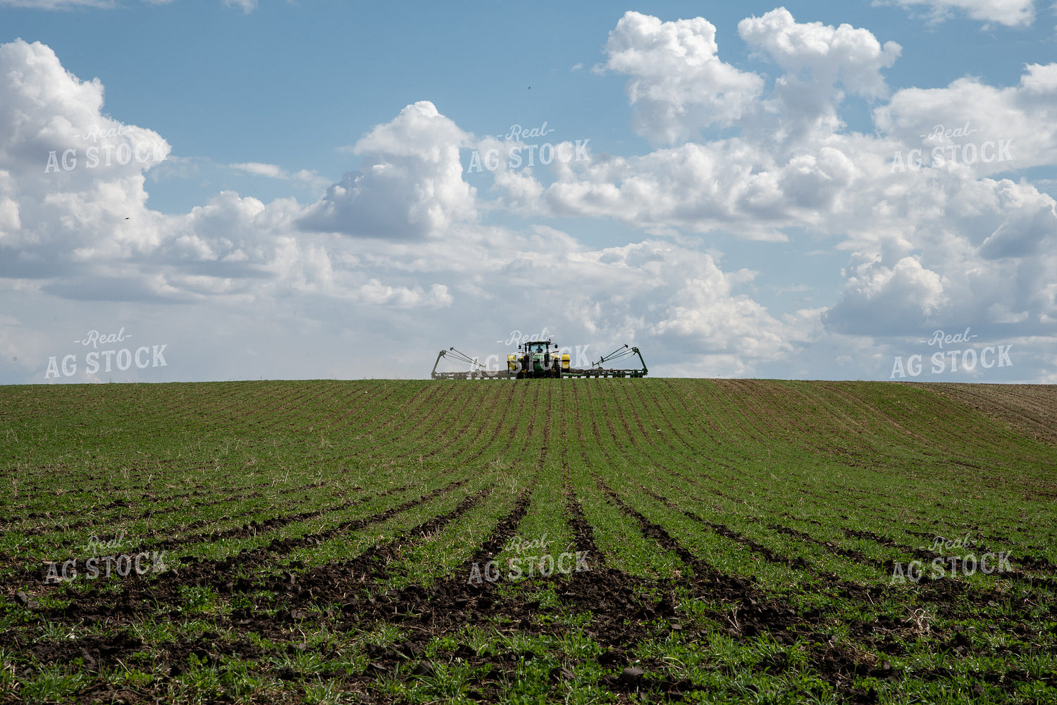 Planting into Cover Crops 76056