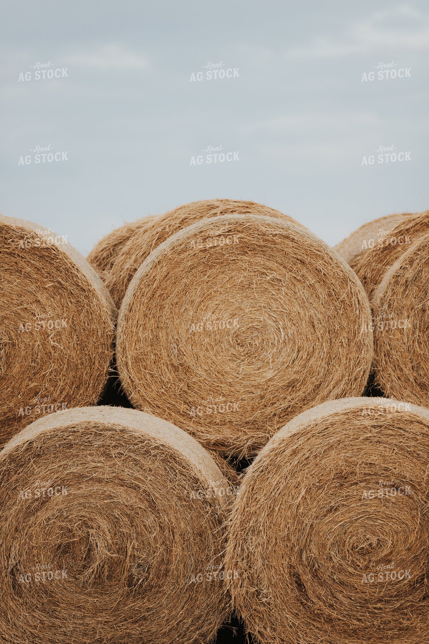 Round Hay Bales 254001