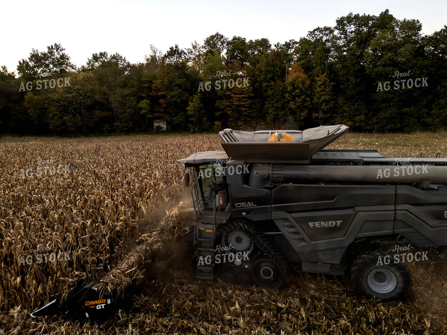 Aerial of Corn Harvest 115569