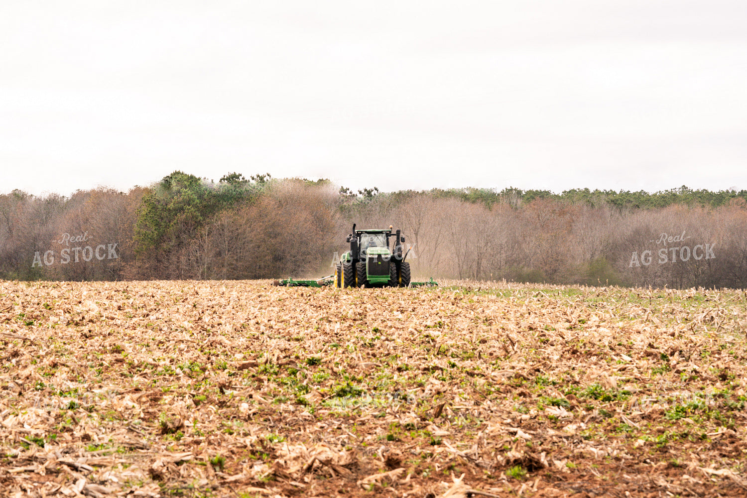 Vertical Tillage 128069