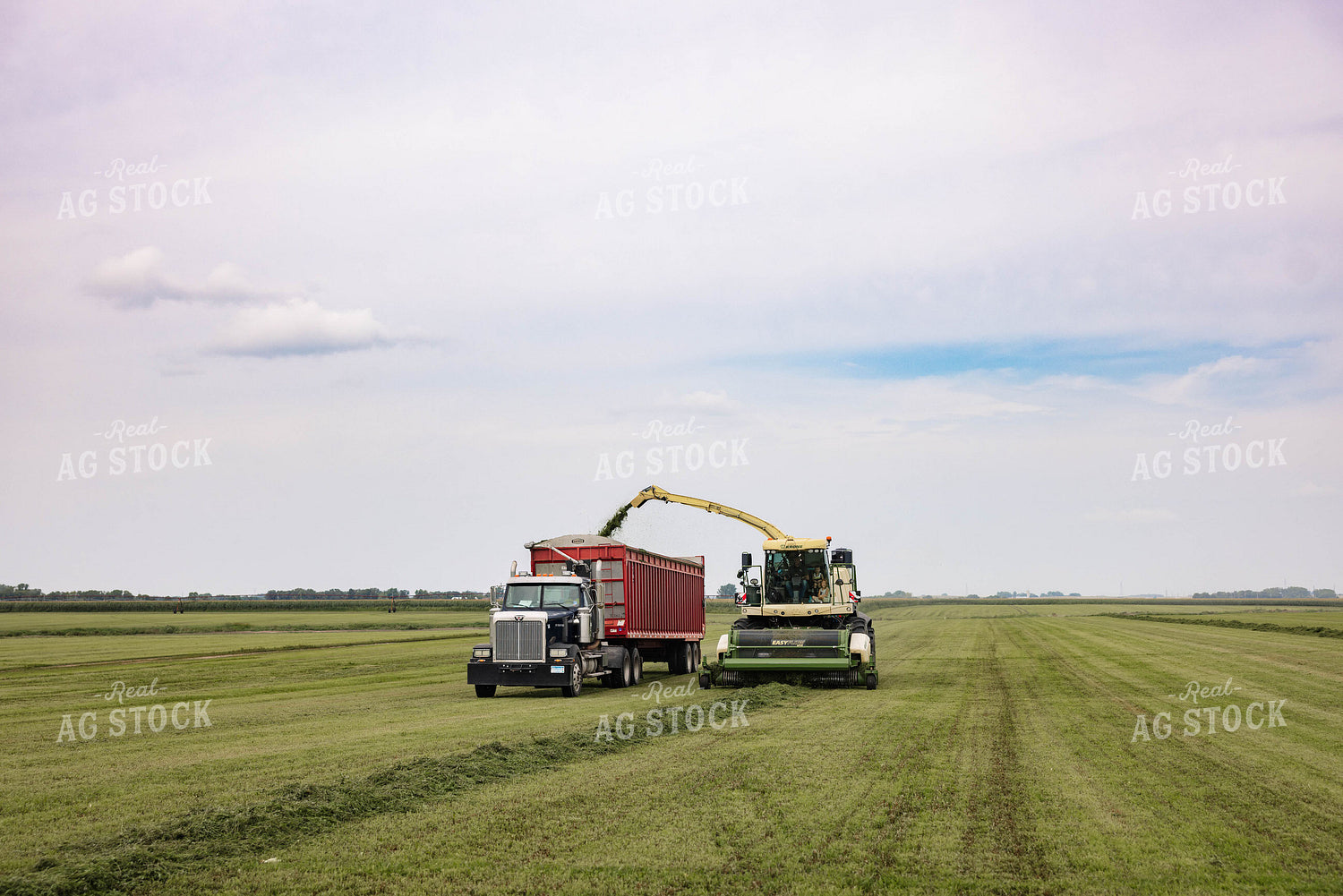 Harvesting Hay 152658