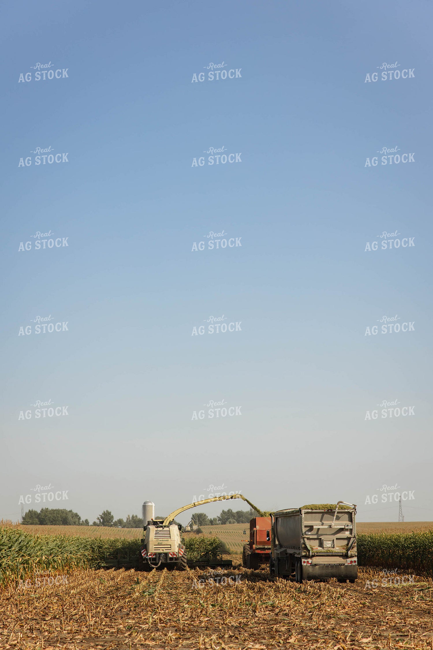 Storing Corn Silage 152534