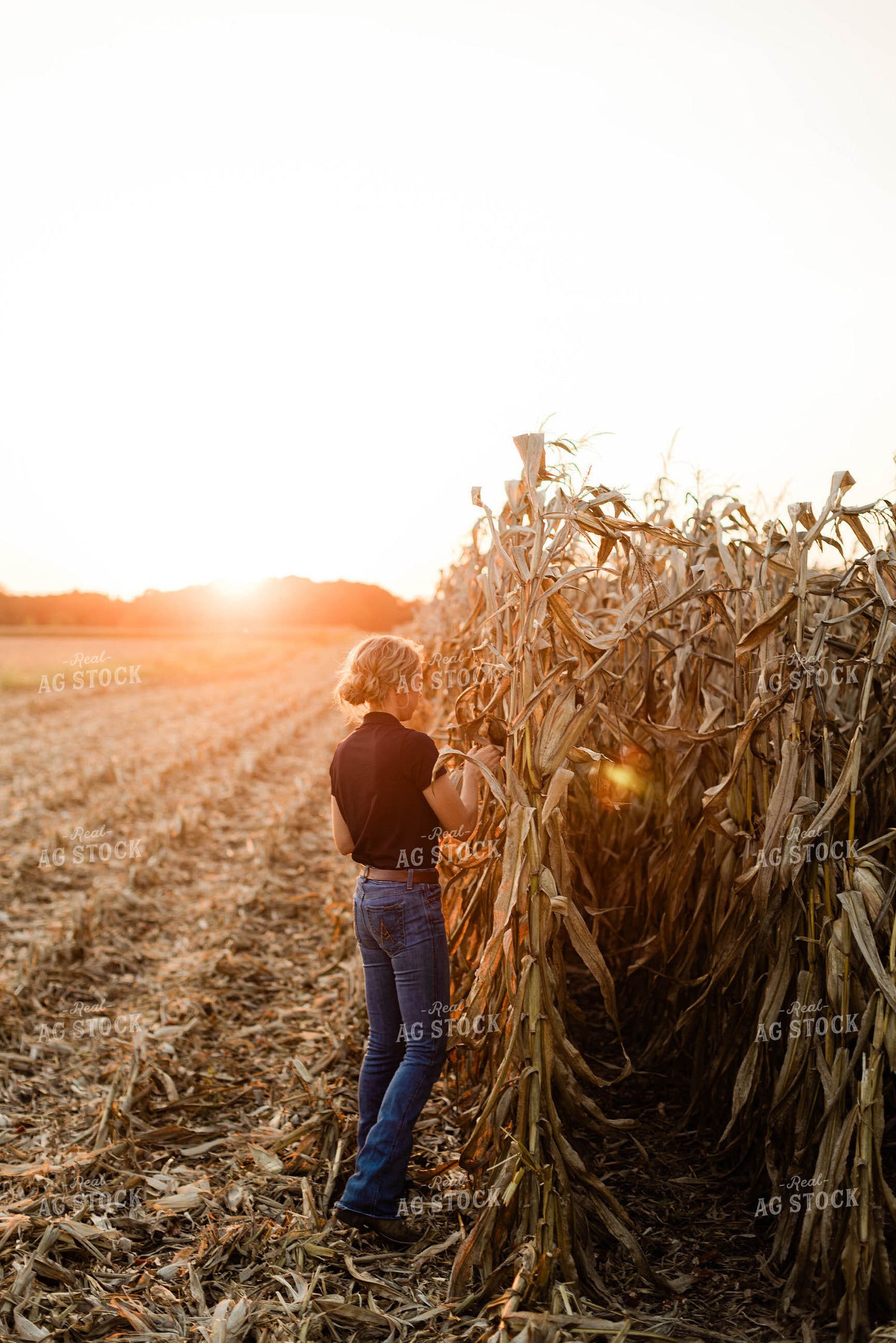 Female Agronomist Checking Corn 8341