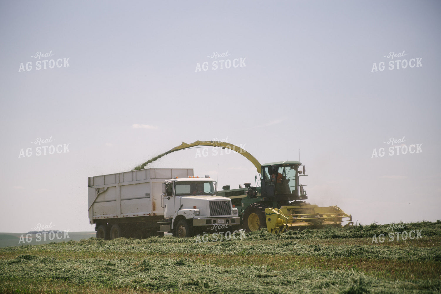 Harvesting Hay Silage 70060