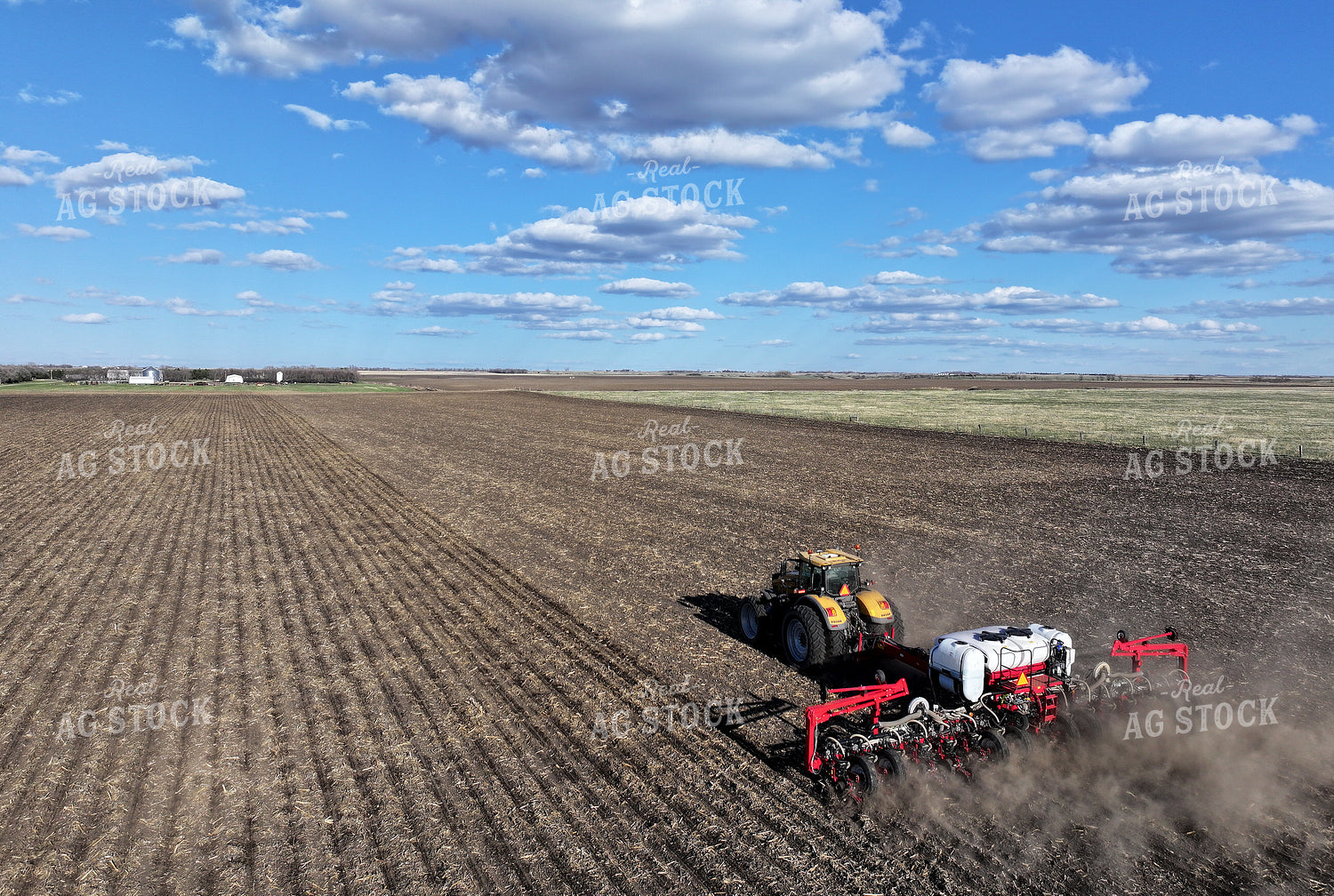 Planting 141109