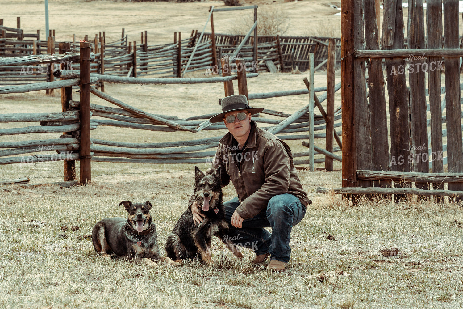 Ranch Dogs and Rancher 58091