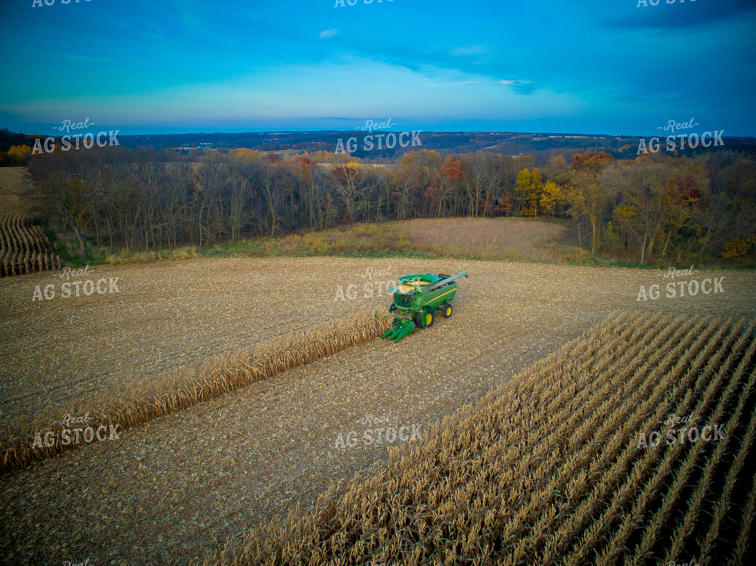 Aerial of Corn Harvest 250113