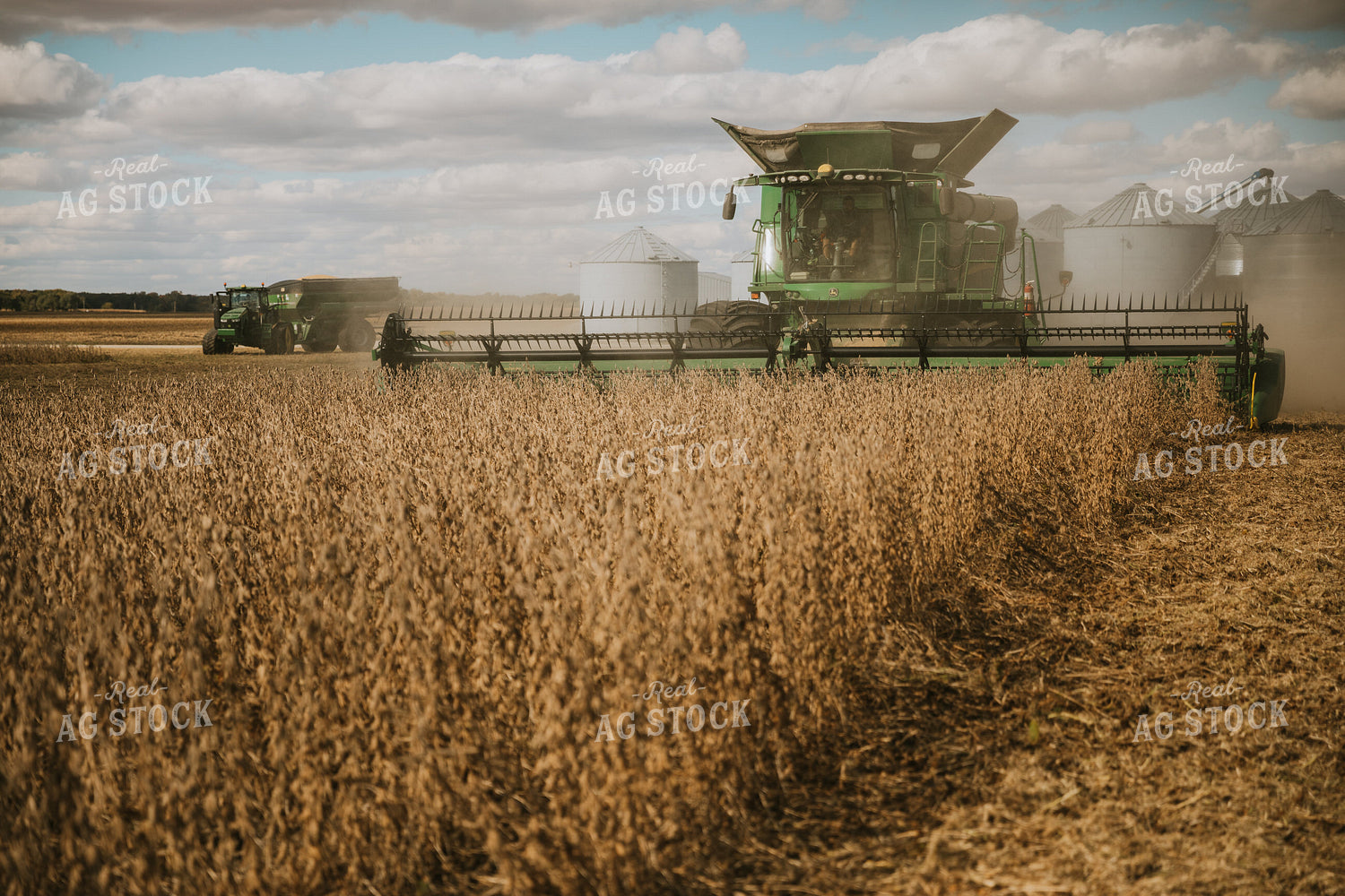 Soybean Harvest 6887