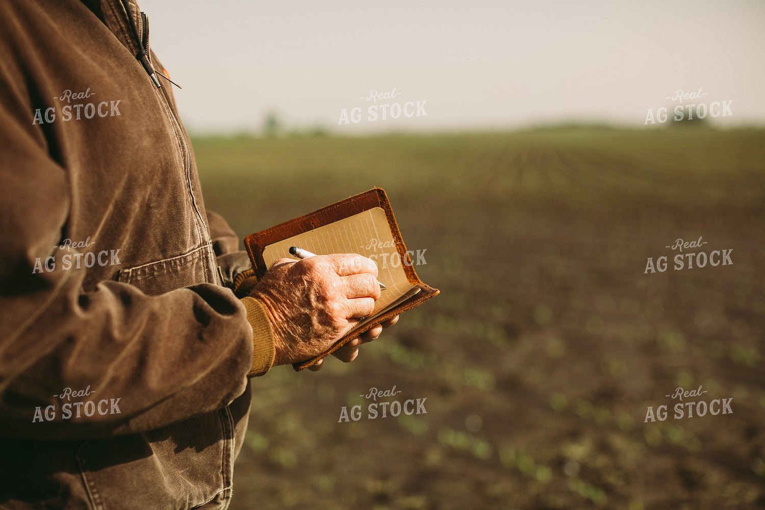 Farmer Taking Notes in Field 5530