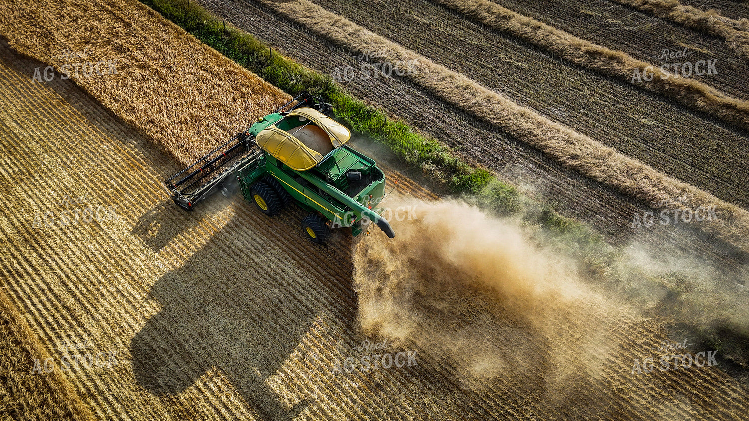Wheat Harvest 187102