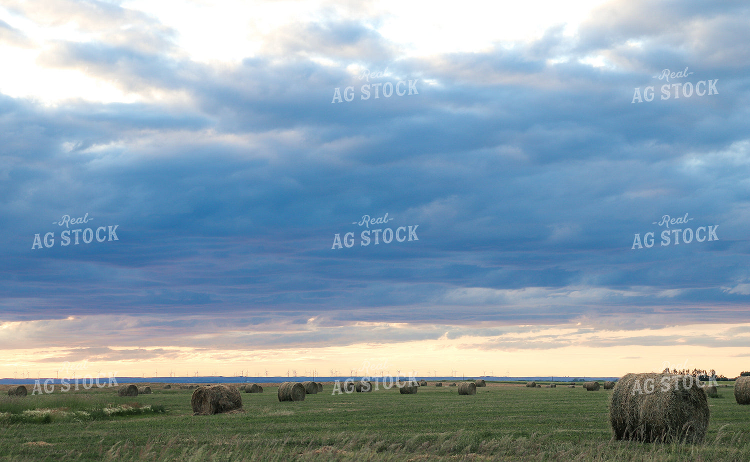 Round Hay Bales in Field 72009