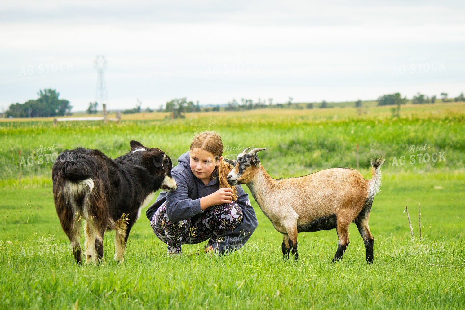 Farm Kid Petting Goats 155238