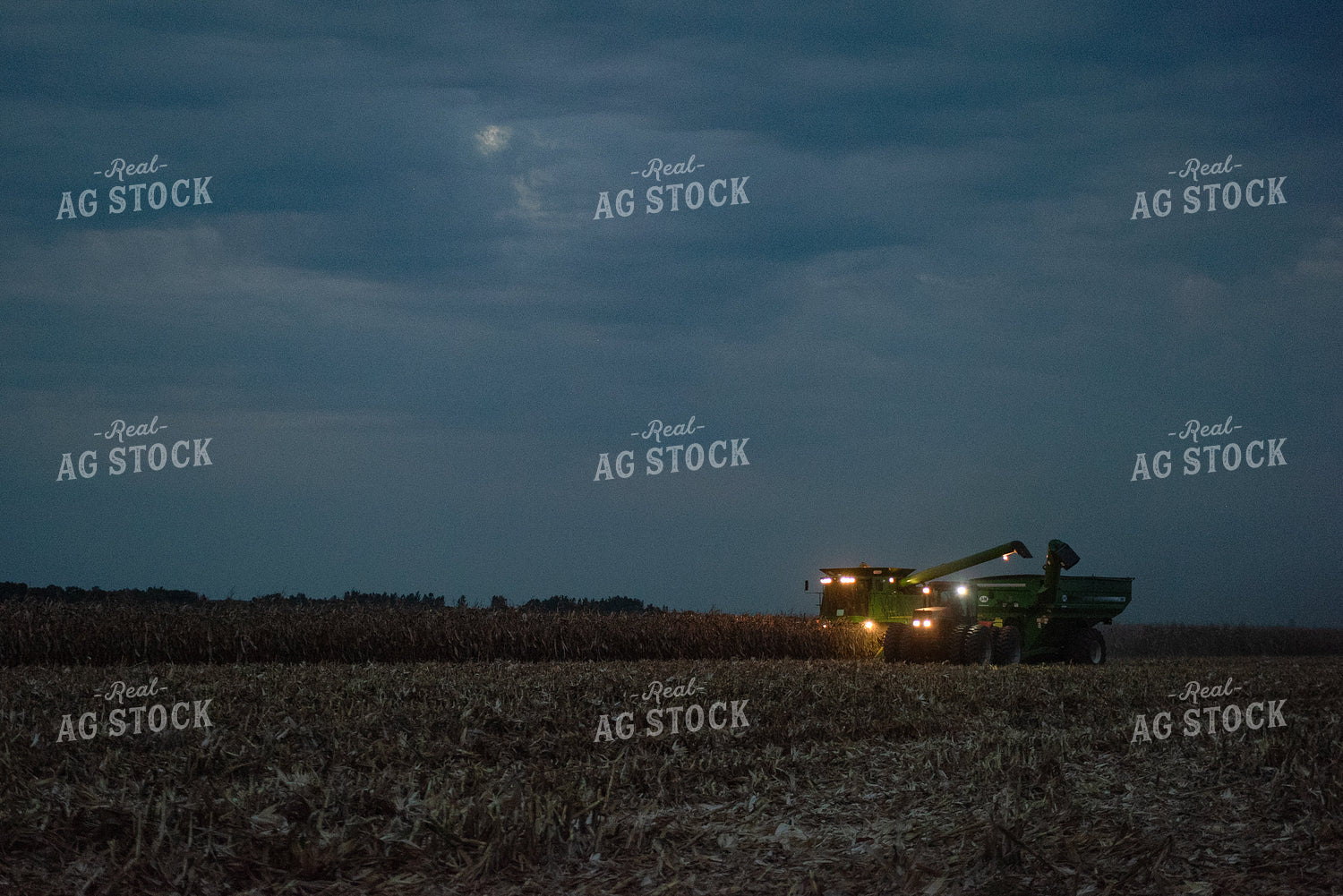 Corn Harvest 129068