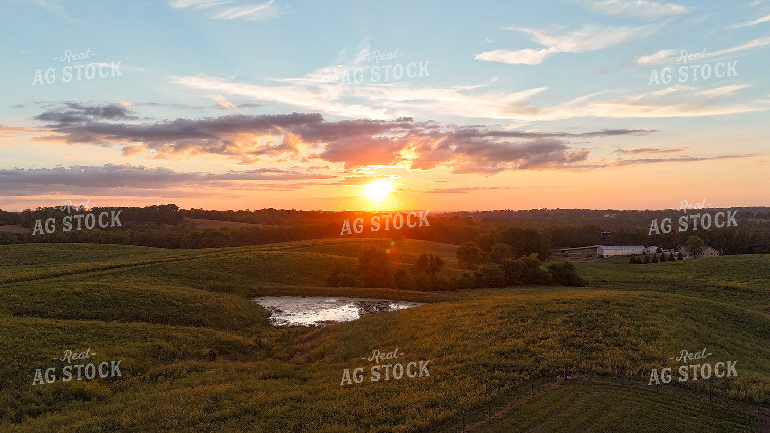 Aerial of Pasture at Sunset 191277