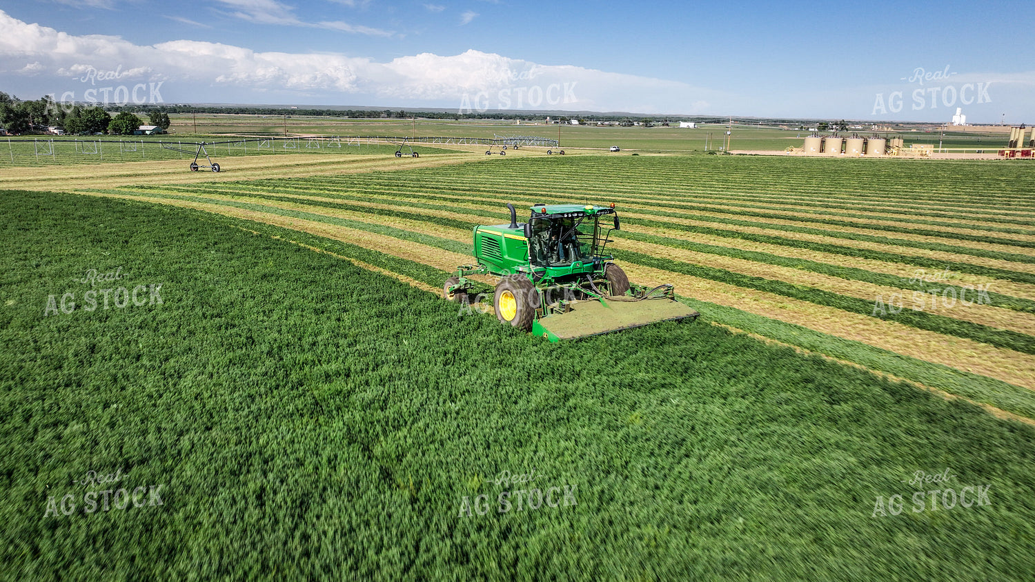 Hay Harvest 56398