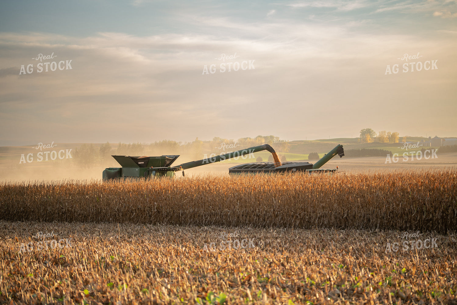 Combine Harvesting Corn and Loading Grain Cart 76087