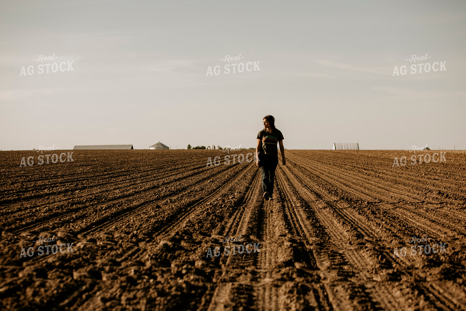 Planting 2786