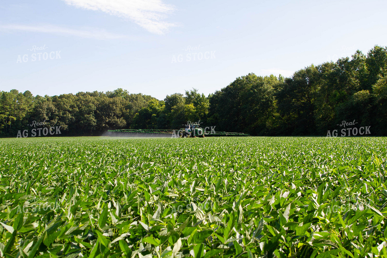 Spraying Soybeans 79123