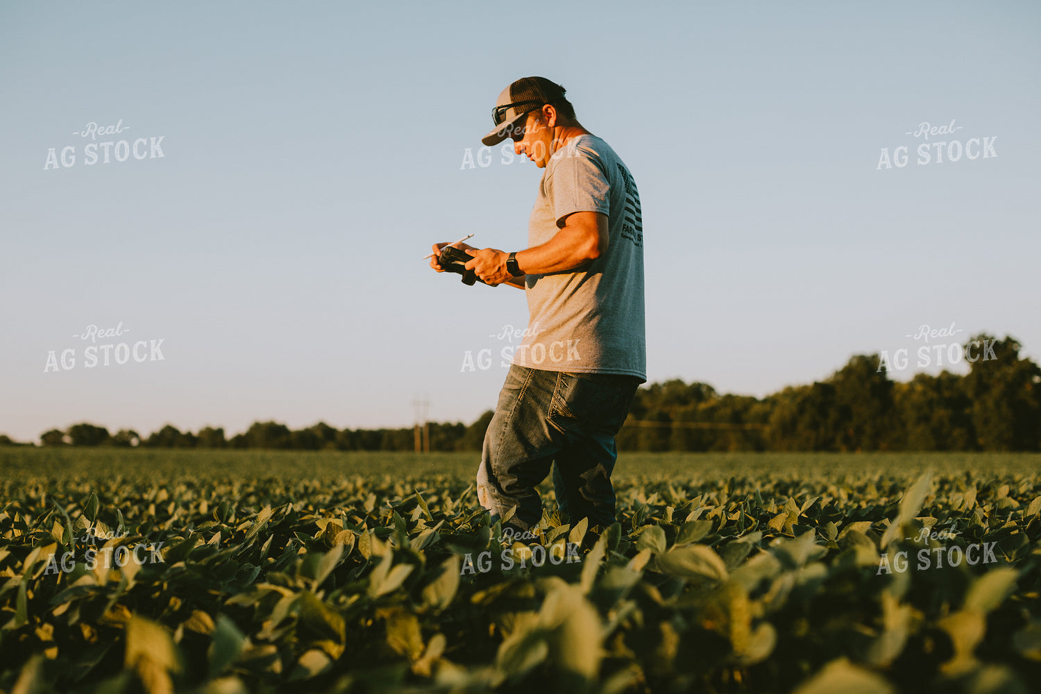 Farmer in Soybean Field with Tablet 6136