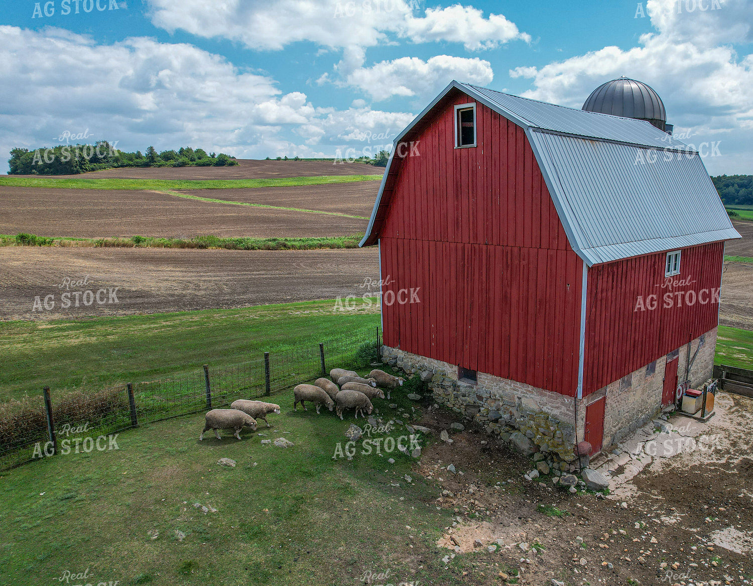 Aerial of Sheep and Barn 261072
